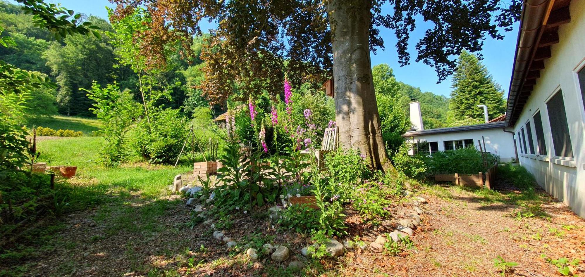 Studio Beim Rhein - Ziegelhuette Flaach Εξωτερικό φωτογραφία