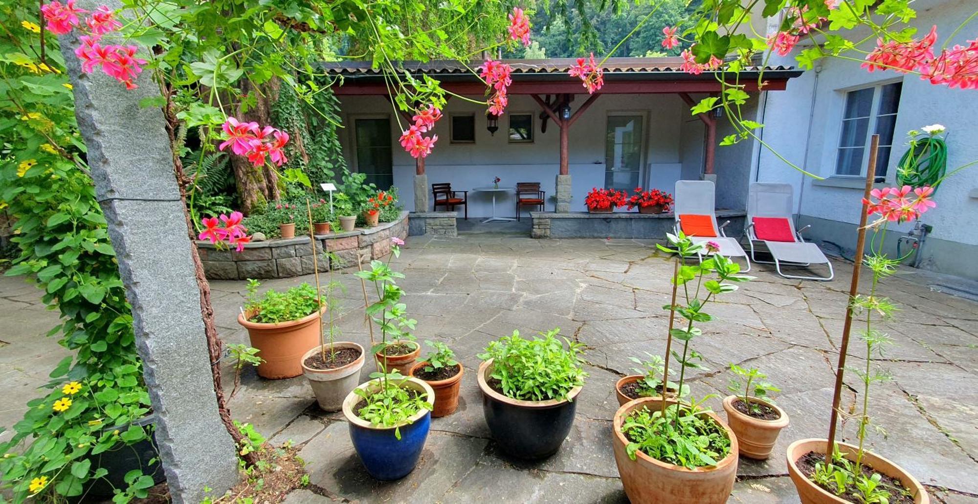 Studio Beim Rhein - Ziegelhuette Flaach Εξωτερικό φωτογραφία